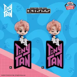 타이니탄 DNA RM 모니터 탑 피규어